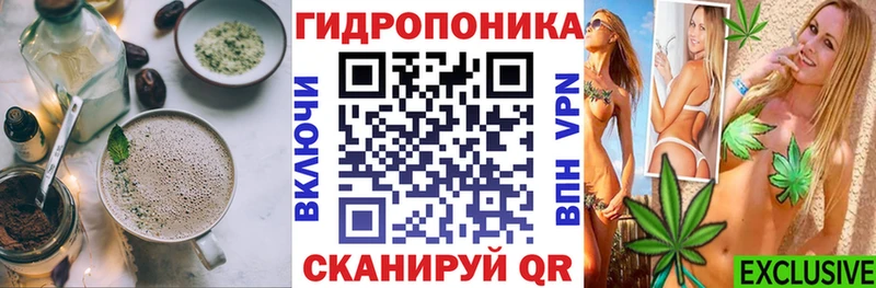 Canna-Cookies конопля купить цена Шилка