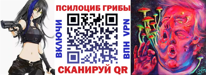 Галлюциногенные грибы Psilocybine cubensis  Шилка 